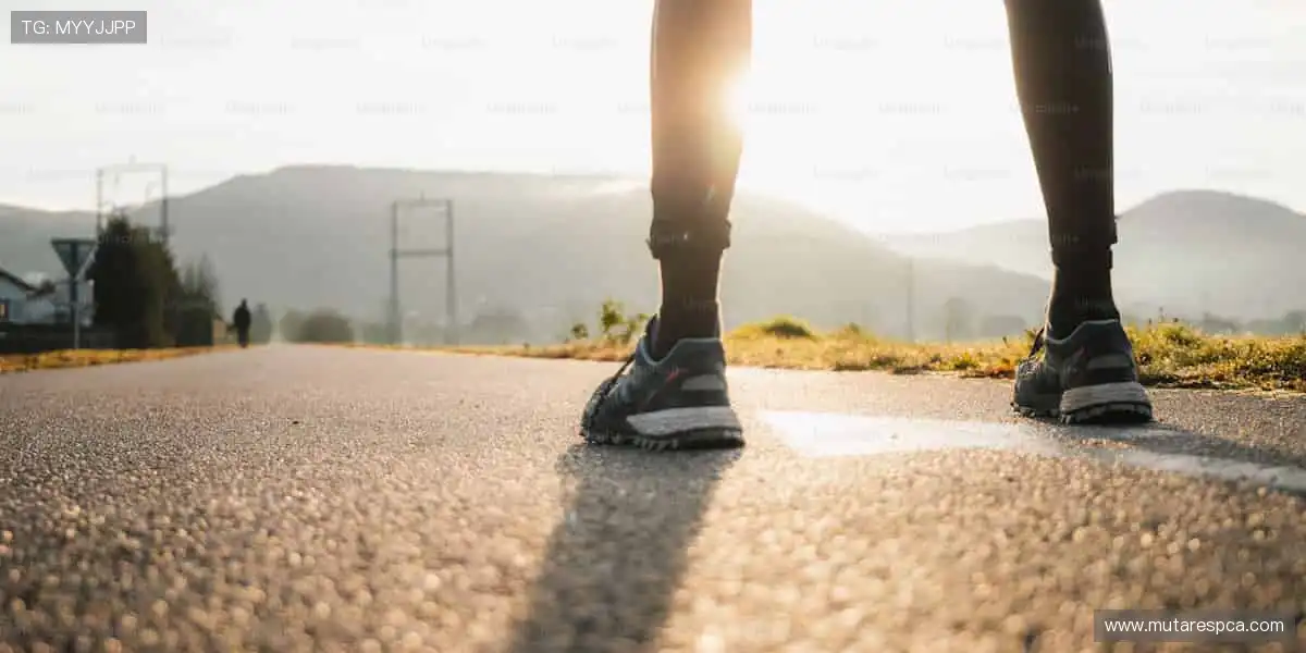 次世代网络游戏网：超高画质电影级特效，视觉盛宴震撼来袭